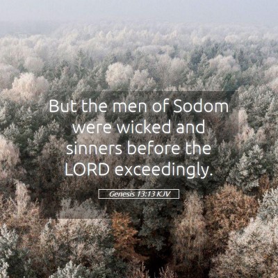 Picture 05 - Genesis 13:13 KJV - But the men of Sodom were wicked and sinners - Bible Verse Picture
