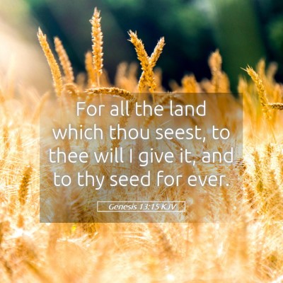 Picture 05 - Genesis 13:15 KJV - For all the land which thou seest, to thee will I - Bible Verse Picture