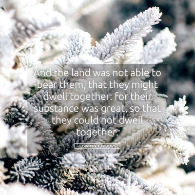 Picture 05 - Genesis 13:6 KJV - And the land was not able to bear them, that they - Bible Verse Picture