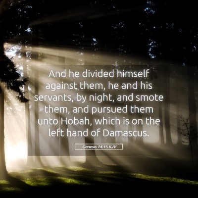 Picture 05 - Genesis 14:15 KJV - And he divided himself against them, he and his - Bible Verse Picture