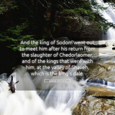 Picture 05 - Genesis 14:17 KJV - And the king of Sodom went out to meet him after - Bible Verse Picture