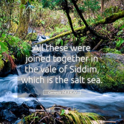 Picture 05 - Genesis 14:3 KJV - All these were joined together in the vale of - Bible Verse Picture