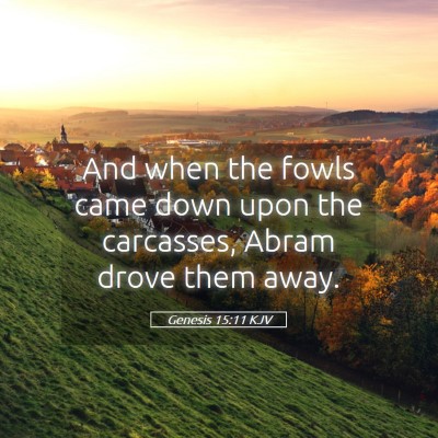 Picture 05 - Genesis 15:11 KJV - And when the fowls came down upon the carcasses, - Bible Verse Picture
