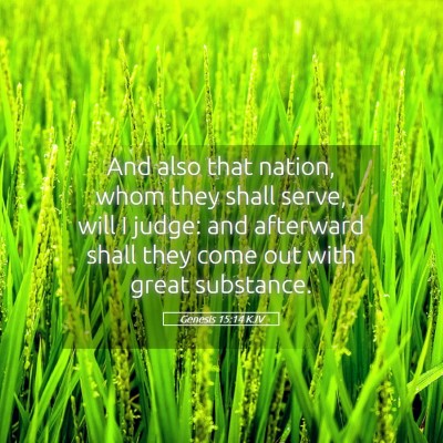 Picture 05 - Genesis 15:14 KJV - And also that nation, whom they shall serve, will - Bible Verse Picture