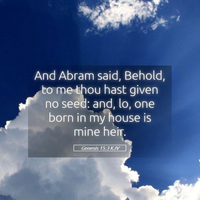 Picture 05 - Genesis 15:3 KJV - And Abram said, Behold, to me thou hast given no - Bible Verse Picture