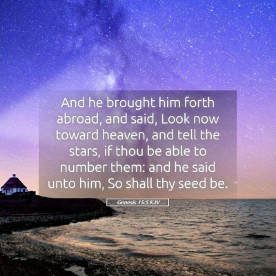 Picture 05 - Genesis 15:5 KJV - And he brought him forth abroad, and said, Look - Bible Verse Picture