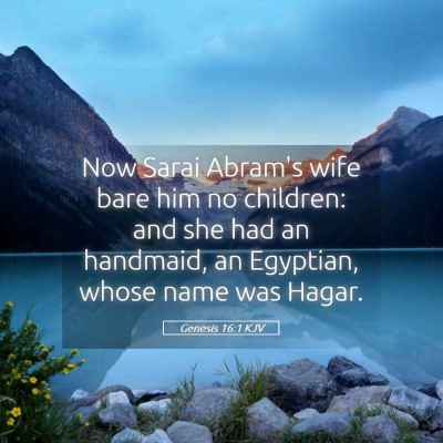 Picture 05 - Genesis 16:1 KJV - Now Sarai Abram's wife bare him no children: and - Bible Verse Picture