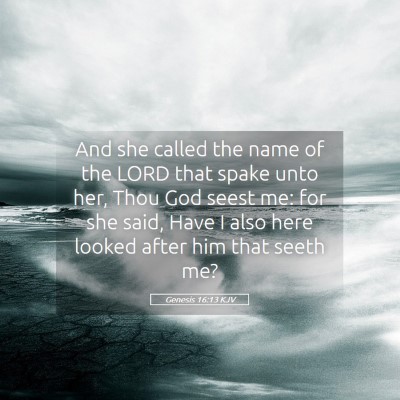 Picture 05 - Genesis 16:13 KJV - And she called the name of the LORD that spake - Bible Verse Picture
