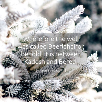 Picture 05 - Genesis 16:14 KJV - Wherefore the well was called Beerlahairoi; - Bible Verse Picture
