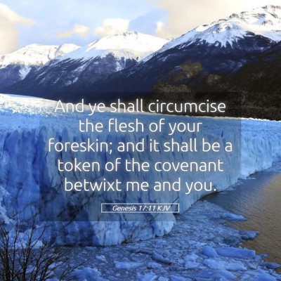 Picture 05 - Genesis 17:11 KJV - And ye shall circumcise the flesh of your - Bible Verse Picture