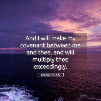 Picture 05 - Genesis 17:2 KJV - And I will make my covenant between me and thee, - Bible Verse Picture
