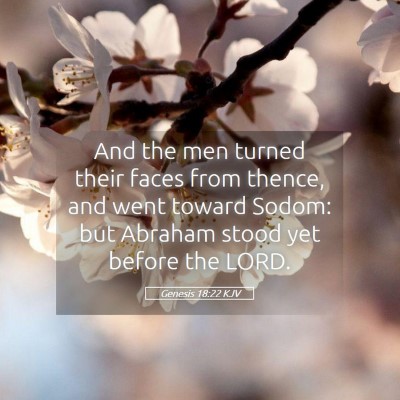 Picture 05 - Genesis 18:22 KJV - And the men turned their faces from thence, and - Bible Verse Picture