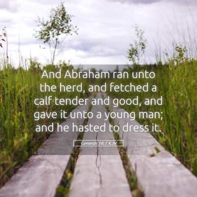 Picture 05 - Genesis 18:7 KJV - And Abraham ran unto the herd, and fetched a calf - Bible Verse Picture