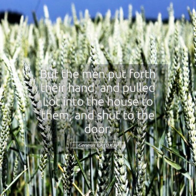 Picture 05 - Genesis 19:10 KJV - But the men put forth their hand, and pulled Lot - Bible Verse Picture