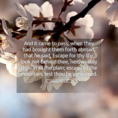 Picture 05 - Genesis 19:17 KJV - And it came to pass, when they had brought them - Bible Verse Picture