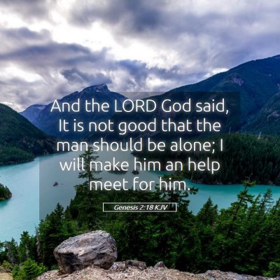 Picture 05 - Genesis 2:18 KJV - And the LORD God said, It is not good that the - Bible Verse Picture