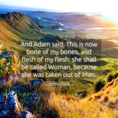 Picture 05 - Genesis 2:23 KJV - And Adam said, This is now bone of my bones, and - Bible Verse Picture