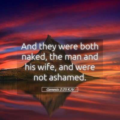 Picture 05 - Genesis 2:25 KJV - And they were both naked, the man and his wife, - Bible Verse Picture