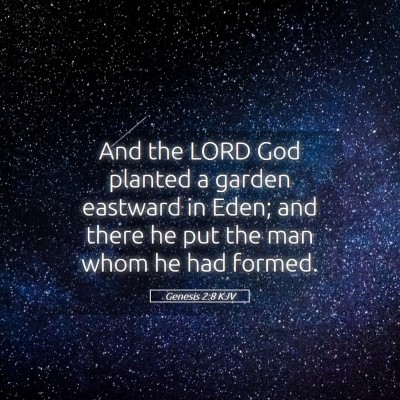 Picture 05 - Genesis 2:8 KJV - And the LORD God planted a garden eastward in - Bible Verse Picture