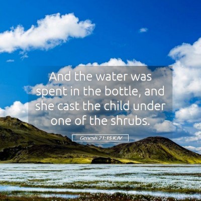 Picture 05 - Genesis 21:15 KJV - And the water was spent in the bottle, and she - Bible Verse Picture