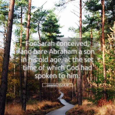 Picture 05 - Genesis 21:2 KJV - For Sarah conceived, and bare Abraham a son in - Bible Verse Picture