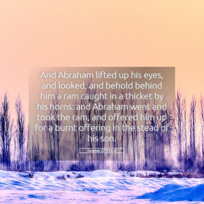 Picture 05 - Genesis 22:13 KJV - And Abraham lifted up his eyes, and looked, and - Bible Verse Picture