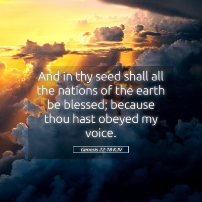 Picture 05 - Genesis 22:18 KJV - And in thy seed shall all the nations of the - Bible Verse Picture