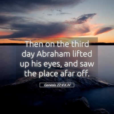 Picture 05 - Genesis 22:4 KJV - Then on the third day Abraham lifted up his eyes, - Bible Verse Picture