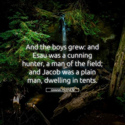 Picture 05 - Genesis 25:27 KJV - And the boys grew: and Esau was a cunning hunter, - Bible Verse Picture