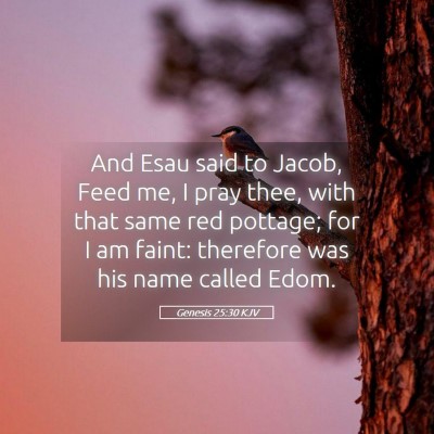 Picture 05 - Genesis 25:30 KJV - And Esau said to Jacob, Feed me, I pray thee, - Bible Verse Picture