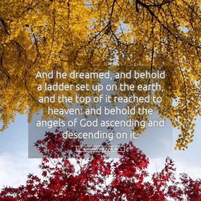 Picture 05 - Genesis 28:12 KJV - And he dreamed, and behold a ladder set up on the - Bible Verse Picture
