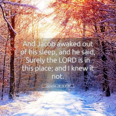 Picture 05 - Genesis 28:16 KJV - And Jacob awaked out of his sleep, and he said, - Bible Verse Picture