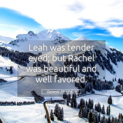 Picture 05 - Genesis 29:17 KJV - Leah was tender eyed; but Rachel was beautiful - Bible Verse Picture