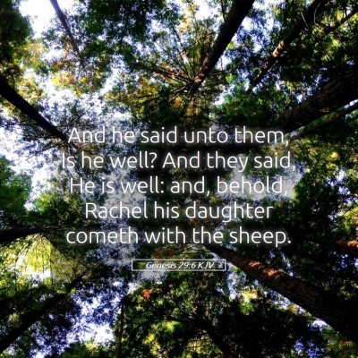 Picture 05 - Genesis 29:6 KJV - And he said unto them, Is he well? And they said, - Bible Verse Picture