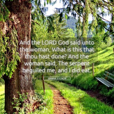 Picture 05 - Genesis 3:13 KJV - And the LORD God said unto the woman, What is - Bible Verse Picture