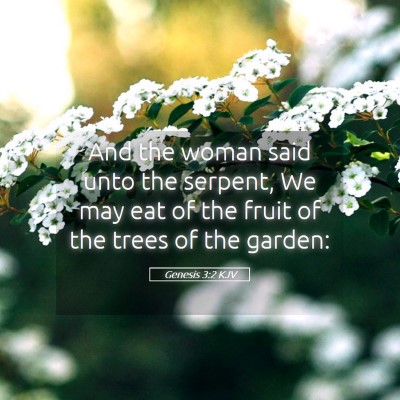 Picture 05 - Genesis 3:2 KJV - And the woman said unto the serpent, We may eat - Bible Verse Picture