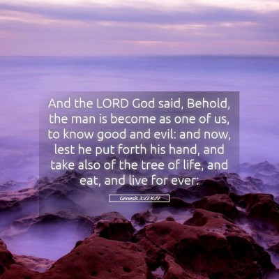 Picture 05 - Genesis 3:22 KJV - And the LORD God said, Behold, the man is become - Bible Verse Picture