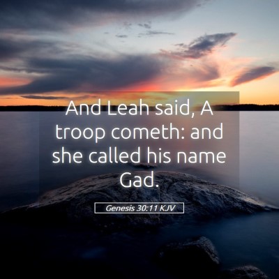 Picture 05 - Genesis 30:11 KJV - And Leah said, A troop cometh: and she called his - Bible Verse Picture