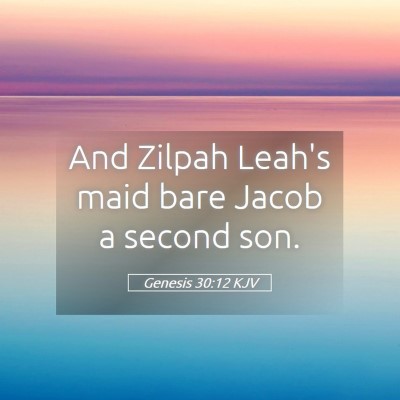 Picture 05 - Genesis 30:12 KJV - And Zilpah Leah's maid bare Jacob a second - Bible Verse Picture