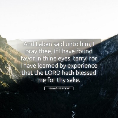 Picture 05 - Genesis 30:27 KJV - And Laban said unto him, I pray thee, if I have - Bible Verse Picture