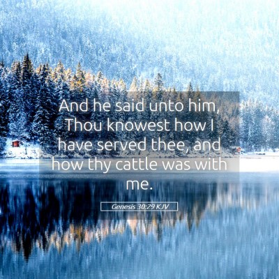 Picture 05 - Genesis 30:29 KJV - And he said unto him, Thou knowest how I have - Bible Verse Picture