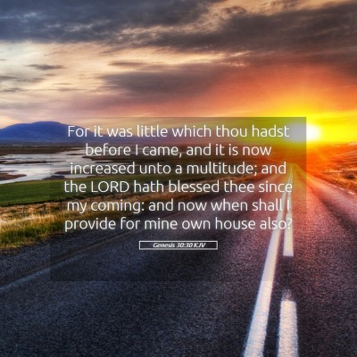 Picture 05 - Genesis 30:30 KJV - For it was little which thou hadst before I came, - Bible Verse Picture