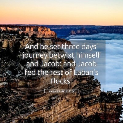 Picture 05 - Genesis 30:36 KJV - And he set three days' journey betwixt himself - Bible Verse Picture