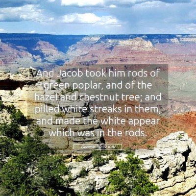 Picture 05 - Genesis 30:37 KJV - And Jacob took him rods of green poplar, and of - Bible Verse Picture
