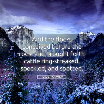 Picture 05 - Genesis 30:39 KJV - And the flocks conceived before the rods, and - Bible Verse Picture