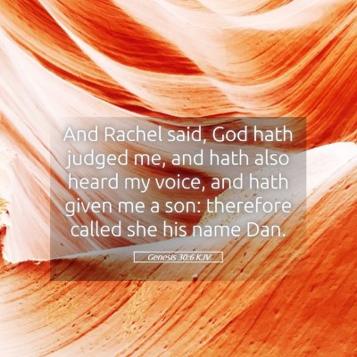Picture 05 - Genesis 30:6 KJV - And Rachel said, God hath judged me, and hath - Bible Verse Picture