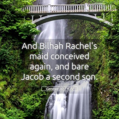 Picture 05 - Genesis 30:7 KJV - And Bilhah Rachel's maid conceived again, and - Bible Verse Picture