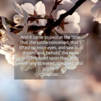 Picture 05 - Genesis 31:10 KJV - And it came to pass at the time that the cattle - Bible Verse Picture