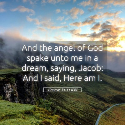 Picture 05 - Genesis 31:11 KJV - And the angel of God spake unto me in a dream, - Bible Verse Picture