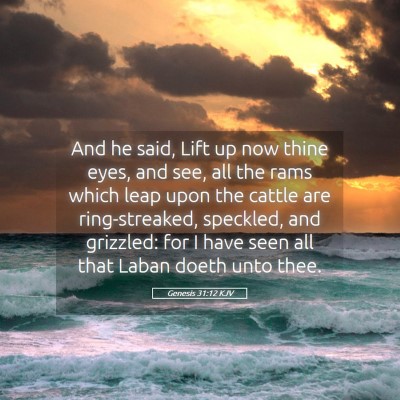 Picture 05 - Genesis 31:12 KJV - And he said, Lift up now thine eyes, and see, all - Bible Verse Picture
